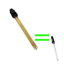 pH probe for Pp60 ph